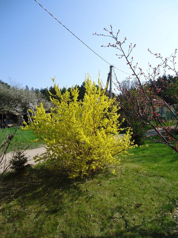 Homestay Roja Vilnius Eksteriør bilde