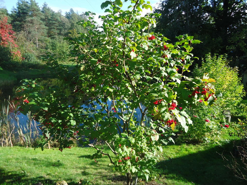 Homestay Roja Vilnius Eksteriør bilde