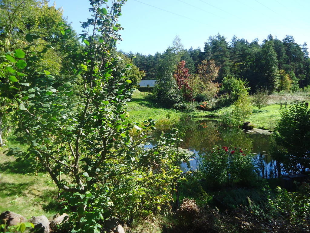 Homestay Roja Vilnius Eksteriør bilde